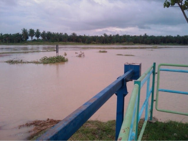 Bumbong lima